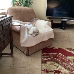 Lazy Dog Ranch - Andy at rest