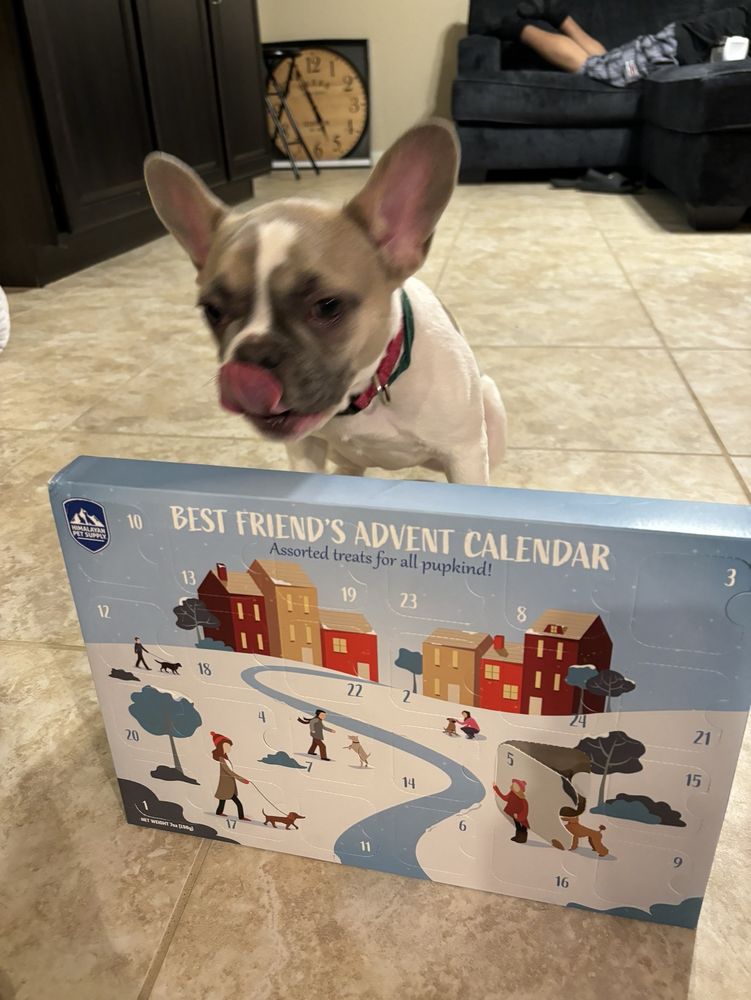 BOGART’S BONE APPETIT Updated August 2024 109 Photos & 181 Reviews