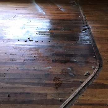 Environmental Testing Associates - Standing water on a wood floor from an attic leak - Environmental Testing Near Me - Portland, Oregon Environmental Testing Associates - Standing water on a wood floor from an attic leak - Environmental Testing Near Me - Portland, Oregon
