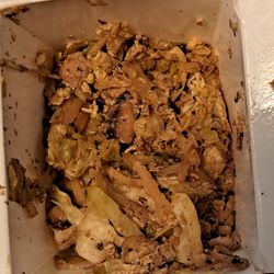 Twin Dragon - Chicken Moo Shu