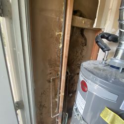 Jonathan Bray Home Inspections - Mold inside wall.