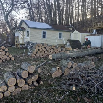 Trimrite Tree Service - Tree Services Near Me - Gobles, Michigan Trimrite Tree Service - Tree Services Near Me - Gobles, Michigan