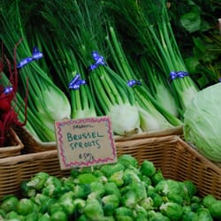 Willie Green's Organic Farm