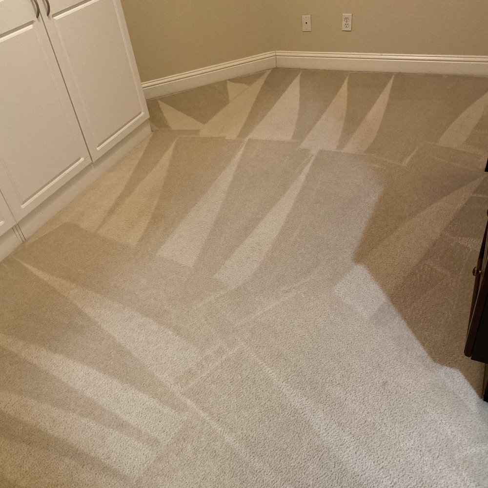 Pristine Cleaners - Was riddled with urine stains - Carpet Cleaning Near Me Pristine Cleaners - Was riddled with urine stains - Carpet Cleaning Near Me