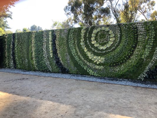 Drought Tolerant Landscaping - With detail in mind, we transform any space into whatever dream you may have into a reality. From Design, to Permit, to Reality. Drought Tolerant Landscaping - With detail in mind, we transform any space into whatever dream you may have into a reality. From Design, to Permit, to Reality.