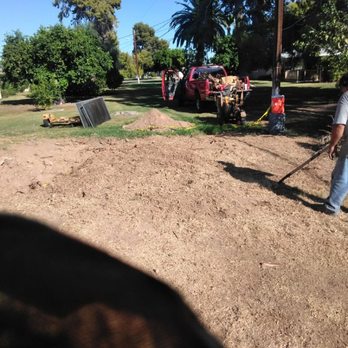 AZ Stump Busters - Tree Services Near Me AZ Stump Busters - Tree Services Near Me