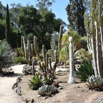 Arizona Garden - Botanical Gardens Near Me - Stanford, California Arizona Garden - Botanical Gardens Near Me - Stanford, California