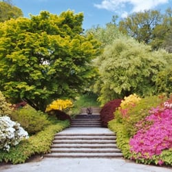 Dartington Hall Gardens - Looking across the tiltyard to the swan