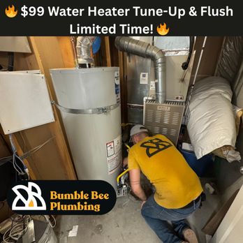 Bumble Bee Plumbing - $99 tune-up and flush, now available until December 31, 2025! - Plumbing Near Me - Sandy, Utah