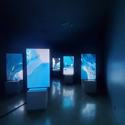 This video installation is amazing.