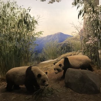 Field Museum - Museums Near Me - Chicago, Illinois Field Museum - Museums Near Me - Chicago, Illinois