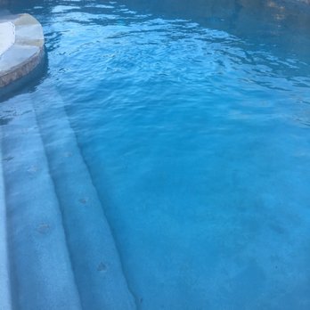 Cerulean Pool Services - Just cleaned by Cerulean Pools! Perfect as usual - Pool Cleaners Near Me