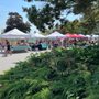 Juanita Friday Market