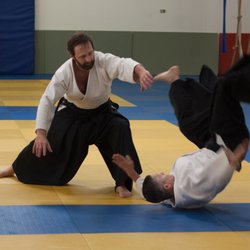 Great Lakes Aikido