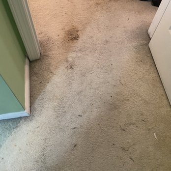 Ray O'Sunshine Cleaning Service - Home Cleaning Near Me Ray O'Sunshine Cleaning Service - Home Cleaning Near Me