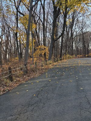 East Rock Park by null