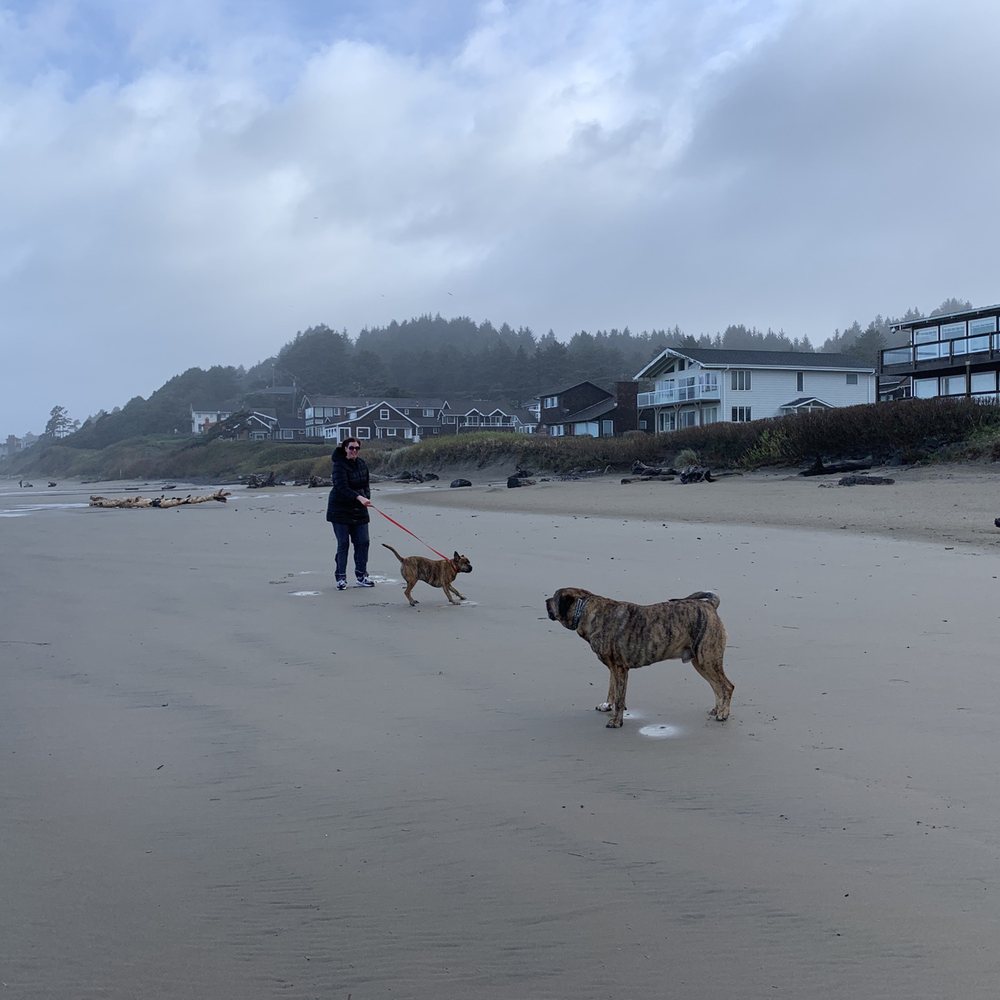 The Ocean Lodge - Hotels Near Me - Cannon Beach, Oregon The Ocean Lodge - Hotels Near Me - Cannon Beach, Oregon