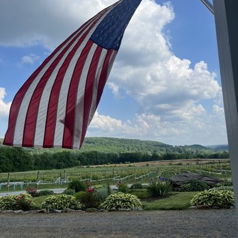 Villa Milagro Vineyards - Over looking the vineyard from the Villa porch - Wineries Near Me - Phillipsburg, New Jersey Villa Milagro Vineyards - Over looking the vineyard from the Villa porch - Wineries Near Me - Phillipsburg, New Jersey
