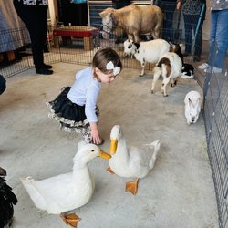 Giddy Up Pony Parties and Petting Zoos - Petting zoo animals