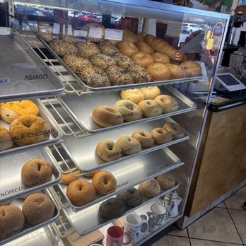 Daily Bagel Cafe - Remaining bagels around 1:30pm - Bagels Near Me - Morgan Hill, California Daily Bagel Cafe - Remaining bagels around 1:30pm - Bagels Near Me - Morgan Hill, California