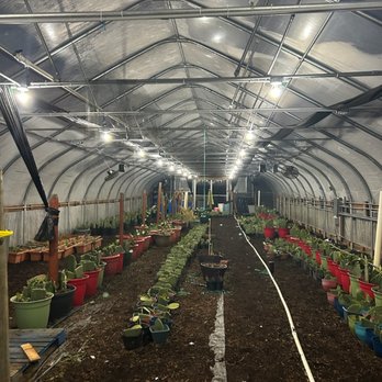 Premier Electrical Services - Greenhouse lighting - Electricians Near Me Premier Electrical Services - Greenhouse lighting - Electricians Near Me