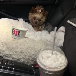 Milkshake