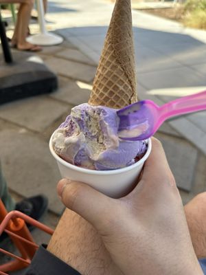 Conscious Creamery by null
