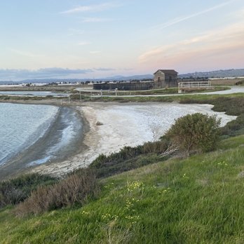 Eden Landing Ecological Reserve - Eden Landing Ecological Reserve - Local Flavor Near Me - Hayward, California Eden Landing Ecological Reserve - Eden Landing Ecological Reserve - Local Flavor Near Me - Hayward, California