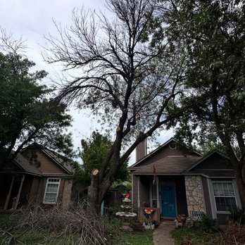 Brents Tree Service - before - Tree Services Near Me