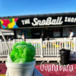 The SnoBall Shop - Guanabana