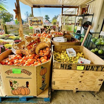 Simple Life Amish Tours - Produce and flowers - Tours Near Me - Volant, Pennsylvania Simple Life Amish Tours - Produce and flowers - Tours Near Me - Volant, Pennsylvania