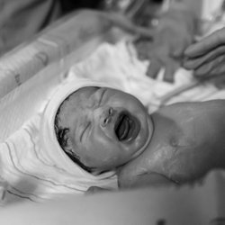 The Joyful Birth
