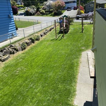 2 Chick’s Mower & Blower Landscaping - Fertilize receipt and fresh Mow - Lawn Services Near Me 2 Chick’s Mower & Blower Landscaping - Fertilize receipt and fresh Mow - Lawn Services Near Me
