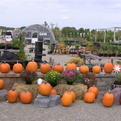 Prestige Landscaping LLC - Reedsburg Garden Center- Trees, shrubs & supplies.
