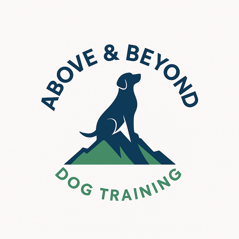 Above & Beyond - pet boarding facility in Richmond, VA