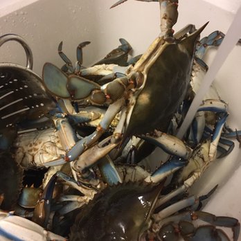 Seaview Crab Company - Seafood Markets Near Me - Wilmington, North Carolina Seaview Crab Company - Seafood Markets Near Me - Wilmington, North Carolina
