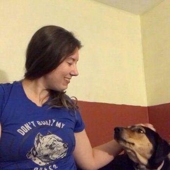 Ashley's K9 Solutions - Pet Training Near Me - Enfield, Connecticut