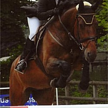 Reitschule - Horseback Riding Near Me - Heiden, NW Reitschule - Horseback Riding Near Me - Heiden, NW