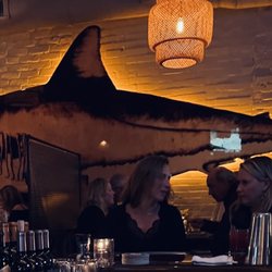 The white shark is your friend