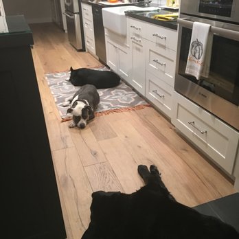 Flooring Distributors Concord - Dogs love it too - Flooring Near Me - Concord, California