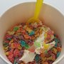 Photo of FroYo Nation