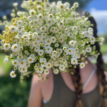 Mossbrook Roots Florist - Florists Near Me - Plattsburgh, New York Mossbrook Roots Florist - Florists Near Me - Plattsburgh, New York