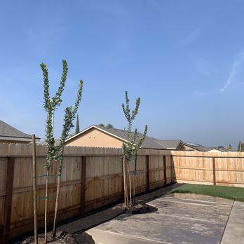Nu Turf Landscaping - Bay laurel tree planting - Irrigation Near Me Nu Turf Landscaping - Bay laurel tree planting - Irrigation Near Me
