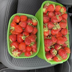 McQuesten Farm Stand