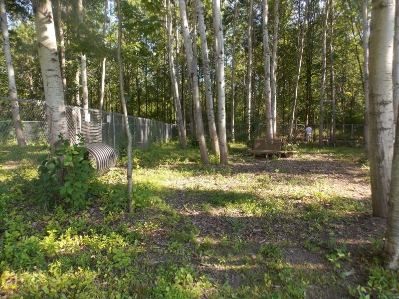 CALVIN E KRUEGER PARK Updated September 2024 Rt 18 350 Ontario St