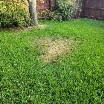Andy's Sprinkler, Drainage & Lighting - one of the spots that was never fixed - Irrigation Near Me - Austin, Texas Andy's Sprinkler, Drainage & Lighting - one of the spots that was never fixed - Irrigation Near Me - Austin, Texas