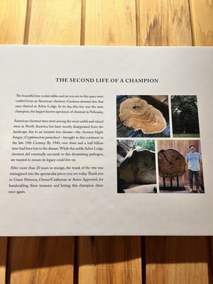 Lied Lodge at Arbor Day Farm by null