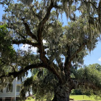 McLeod Plantation Historic Site - Landmarks & Historical Buildings Near Me - Charleston, South Carolina McLeod Plantation Historic Site - Landmarks & Historical Buildings Near Me - Charleston, South Carolina