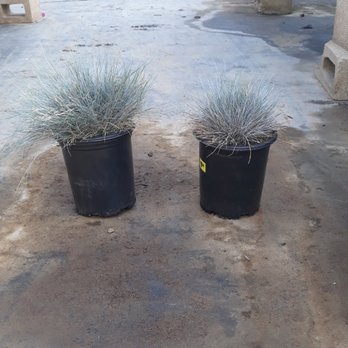 Aki Nursery - Nurseries & Gardening Near Me - Irvine, California