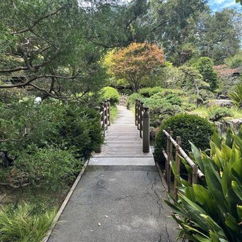 Japanese Gardens - Parks Near Me - San Mateo, California Japanese Gardens - Parks Near Me - San Mateo, California